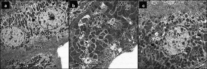 Figure 11.