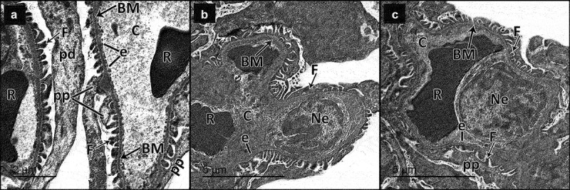 Figure 10.