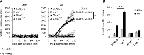 FIG 6 