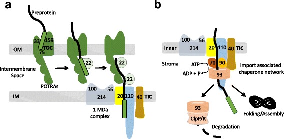 Fig. 3.