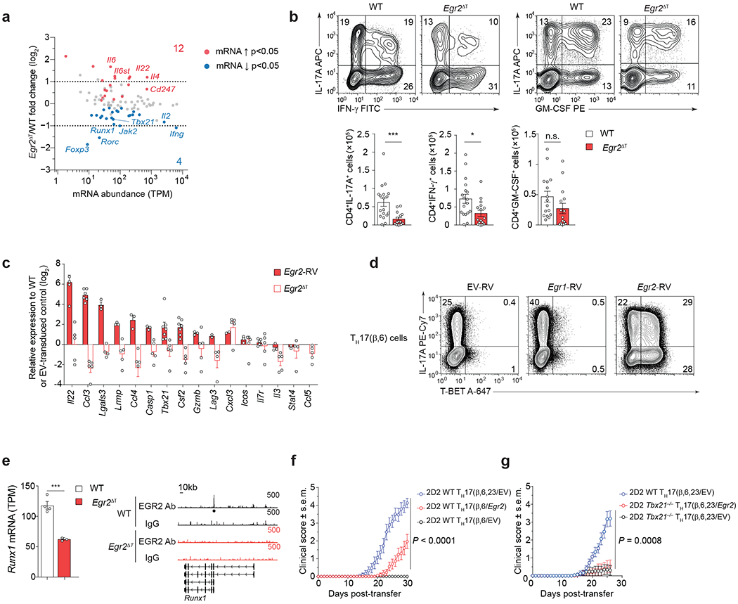 Fig. 7 |