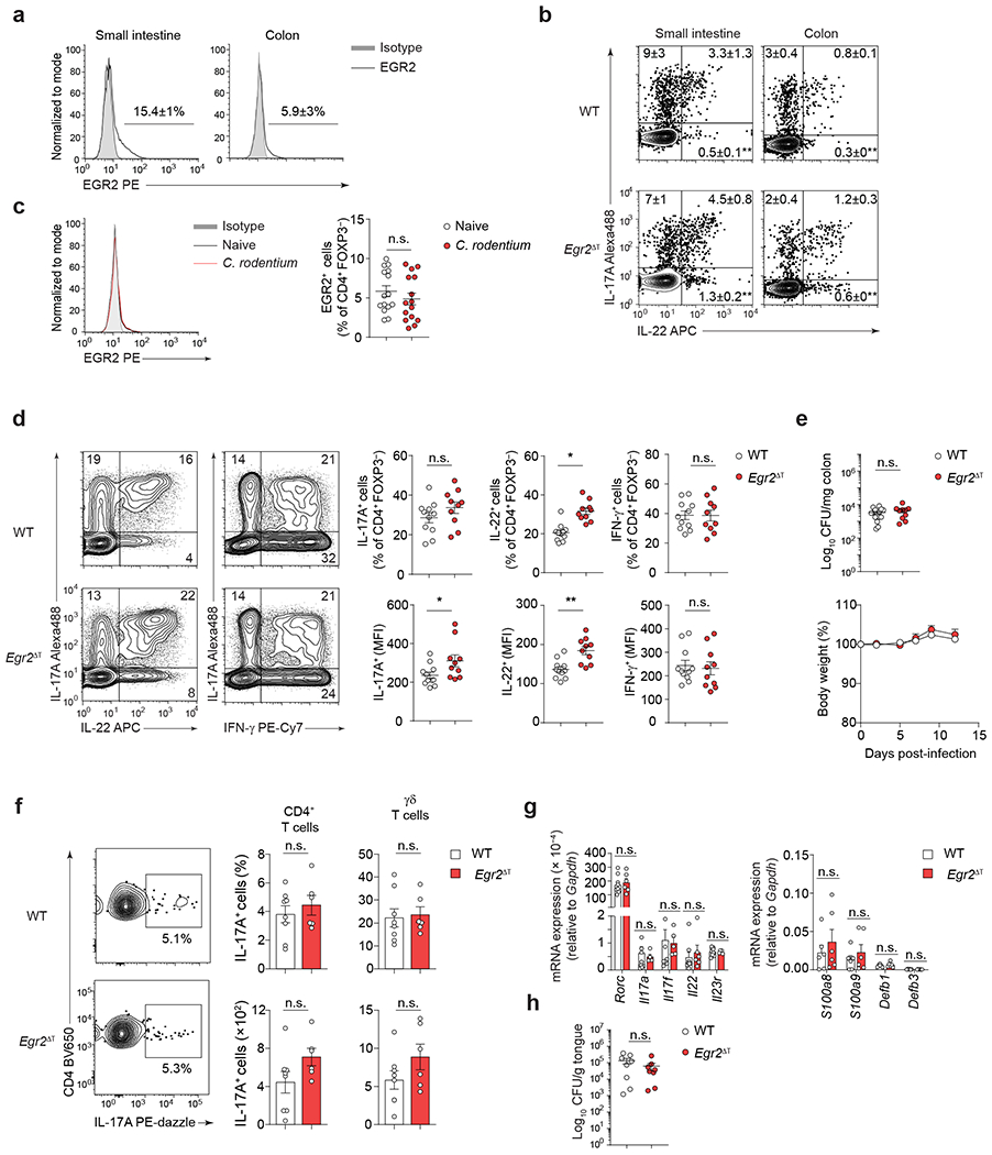 Fig. 4 |