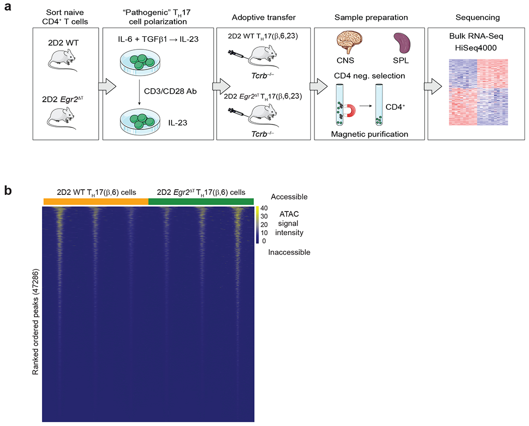 Extended Data Fig. 4