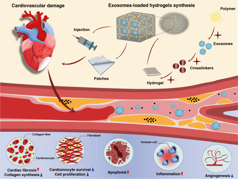 graphic file with name 40824_2023_433_Figa_HTML.jpg