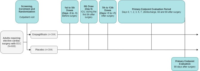 Figure 1: