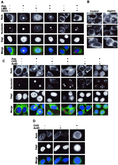 FIG.4.