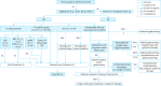 Flowchart 1