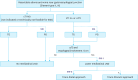 Flowchart 5