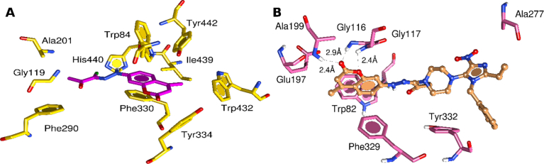 Fig. 7