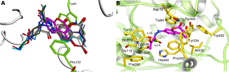 Fig. 2