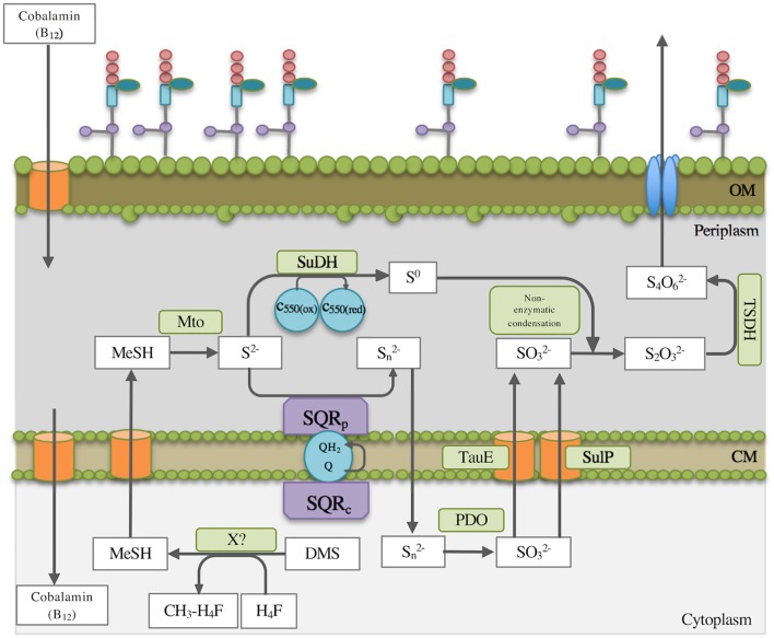 FIGURE 2