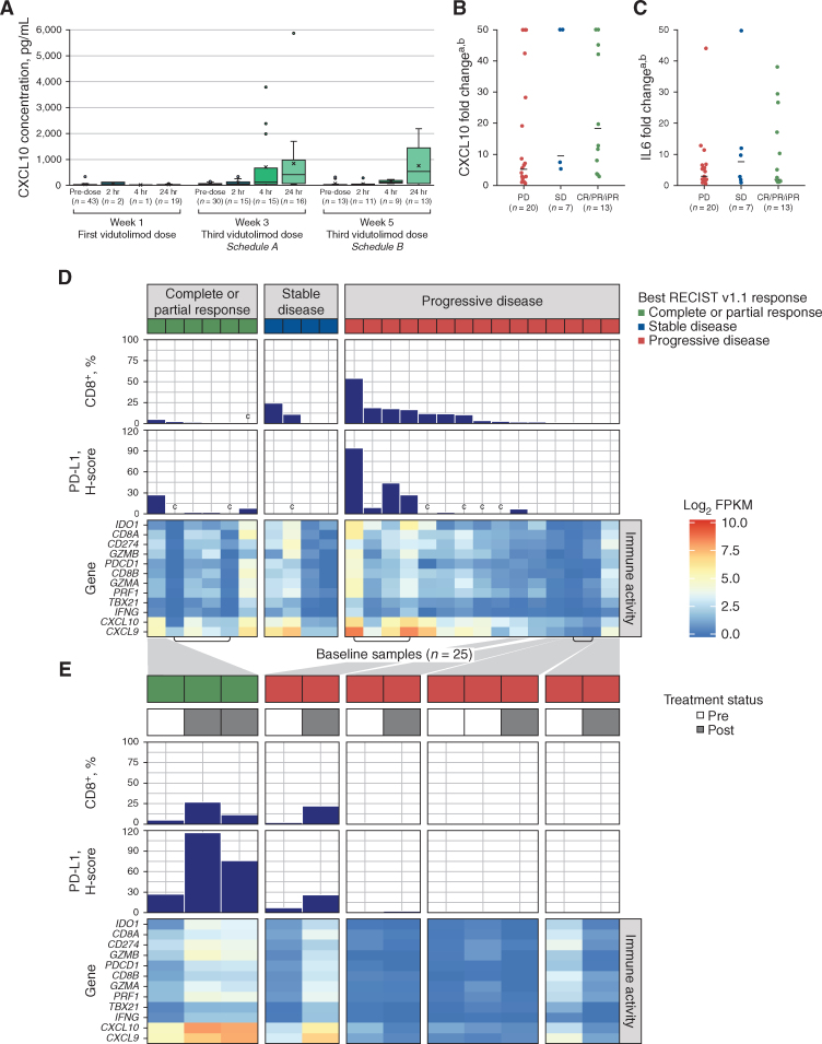 Figure 2. Chemokine induction and transcriptomic analyses. A, Box and whisker plot of serum CXCL10 concentrations preinjection and 2, 4, and 24 hours postinjection after the first vidutolimod injection and the third vidutolimod injection (schedule A, week 3; schedule B, week 5). Mean values are indicated by “x” symbols and outliers are shown as circles. The fold change in CXCL10 (B) and IL6 (C) at 24 hours from baseline across response groups. Both RECIST v1.1 responders (n = 11) and iRECIST responders (n = 2) are included in the CR/PR/iPR group. Horizontal lines indicate median values. D, Heat map of gene expression across genes associated with the IFNγ pathway and immune cell infiltration for 25 baseline samples taken from 22 patients. Three patients had two available biopsy samples each (archival and baseline) and both were analyzed (indicated by brackets underneath the heat map). Samples (x-axis) were sorted by decreasing frequency of CD8+ T cells in the full tissue (measured by IHC; bar chart) and by RECIST v1.1 best overall response (colored bars across the top of the figure). PD-L1–positive full tissue H-score is also shown (measured by IHC). E, Heat map of gene expression across paired baseline and on-study tumor biopsies as indicated by pretreatment and posttreatment bars (gray/white) across the top of the figure for 12 biopsies taken from five patients. The responding patient on the left had two posttreatment biopsies; the left biopsy was taken from an injected lesion, and the right biopsy was taken from a noninjected lesion. All other posttreatment biopsies were taken from injected lesions. Gray shading is used to indicate the patient identity between D and E. aBelow quantitation limit values were set to the lower limit of quantitation and above quantitation limit values were set to the upper limit of quantitation. bValues capped at 50 for plotting purposes. cInadequate samples for this metric. FPKM, fragments per kilobase of transcript per million mapped reads; H-score, histology score; iPR, PR by iRECIST; SD, standard deviation.