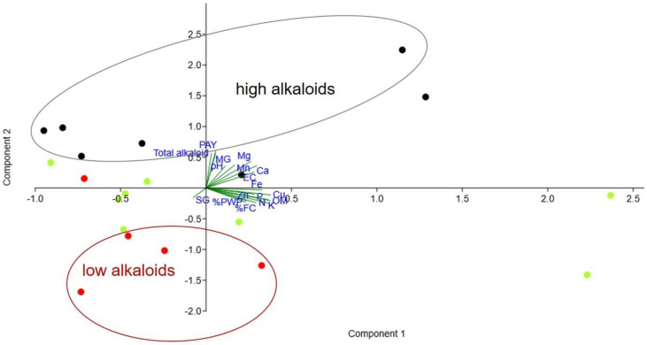 Figure 12