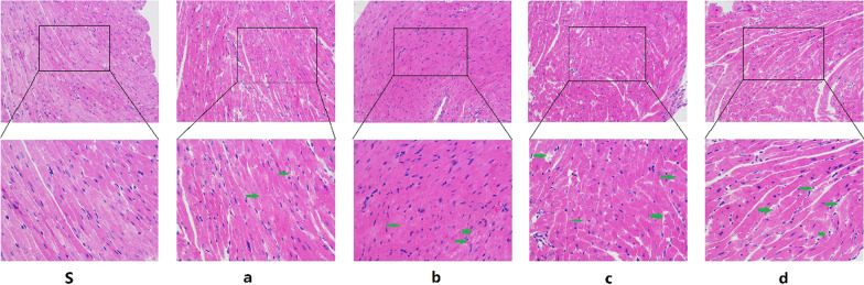 Fig. 12