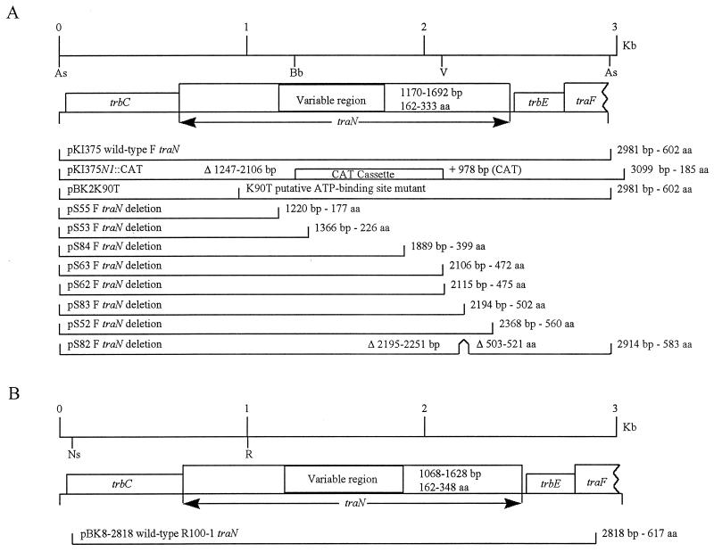 FIG. 1