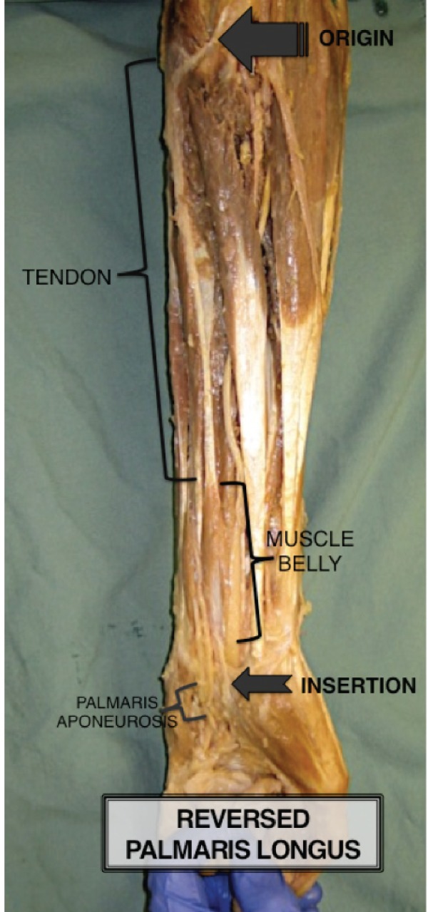 Figure 1)