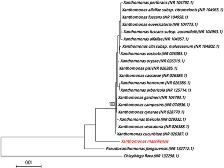 Fig. 2