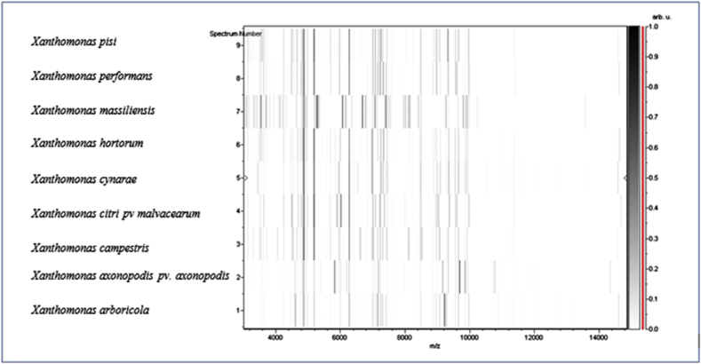 Fig. 3