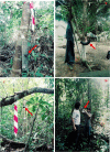 Fig 2