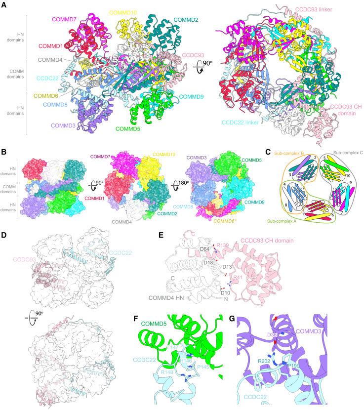 Figure 4