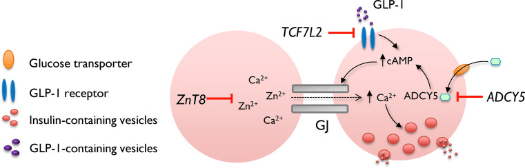 Fig. 3