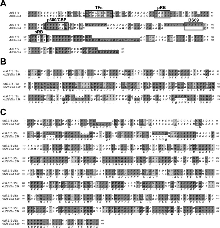 FIG 10