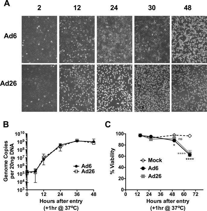 FIG 2