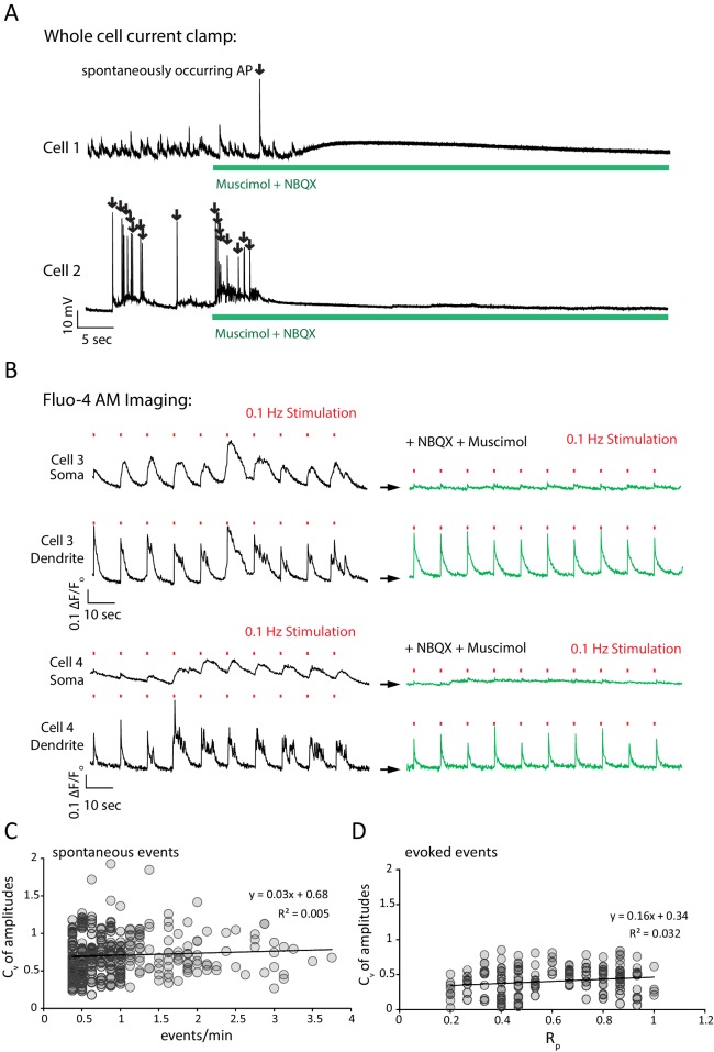 Figure 2—figure supplement 1.