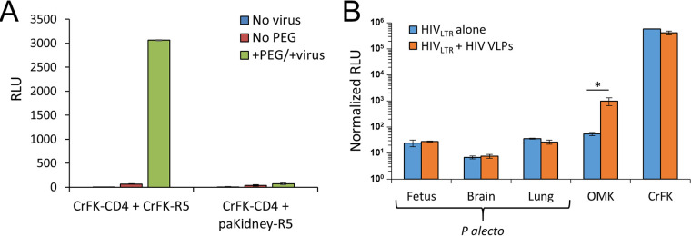 FIG 2