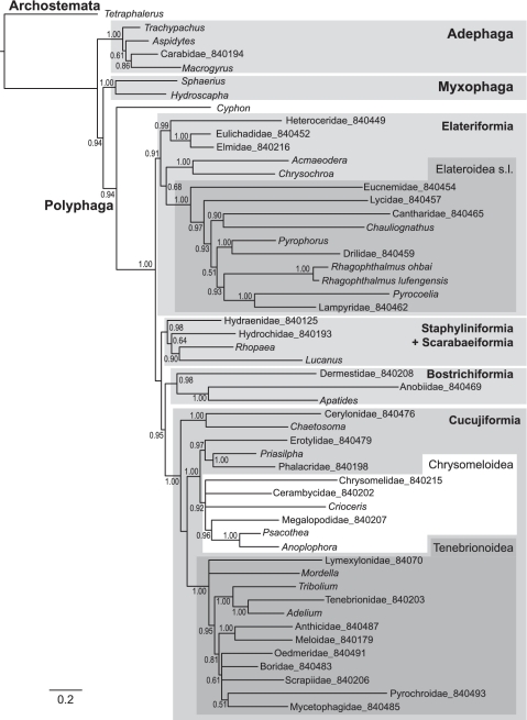 Figure 5.