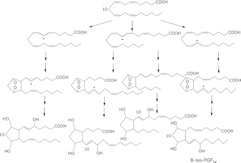 Fig. 3