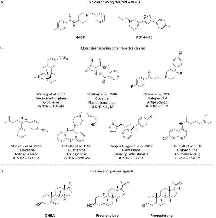 FIGURE 1