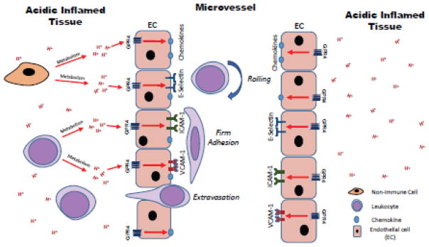 Fig. 11