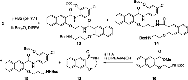 Scheme 2.