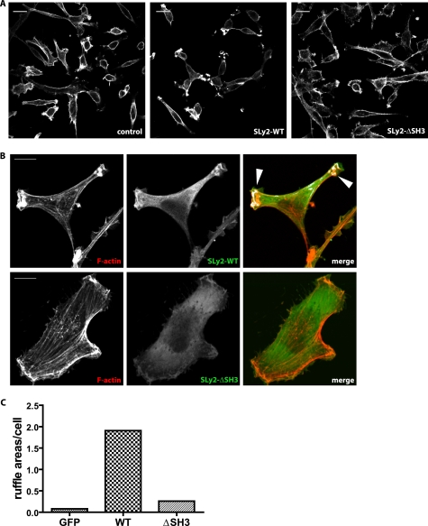 FIGURE 4.