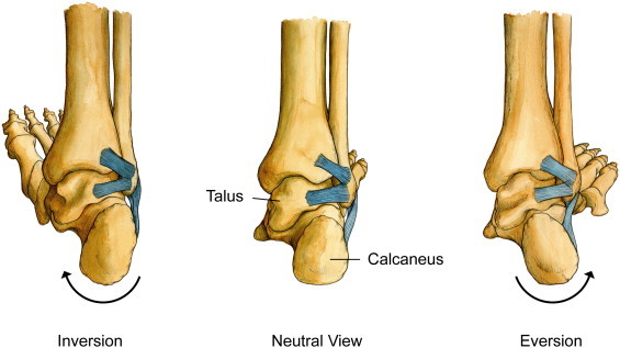 Fig 5