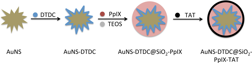 Scheme 1