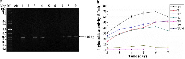 Fig. 3