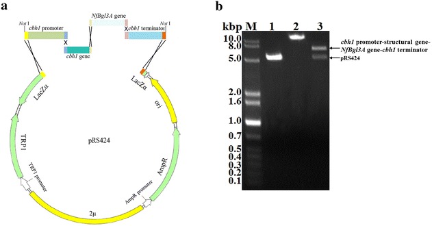 Fig. 2