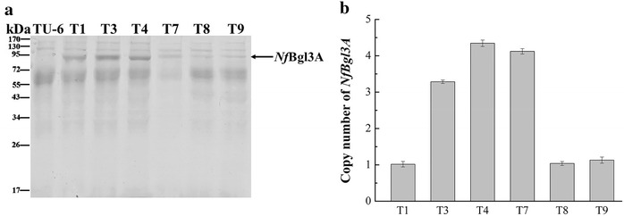 Fig. 4