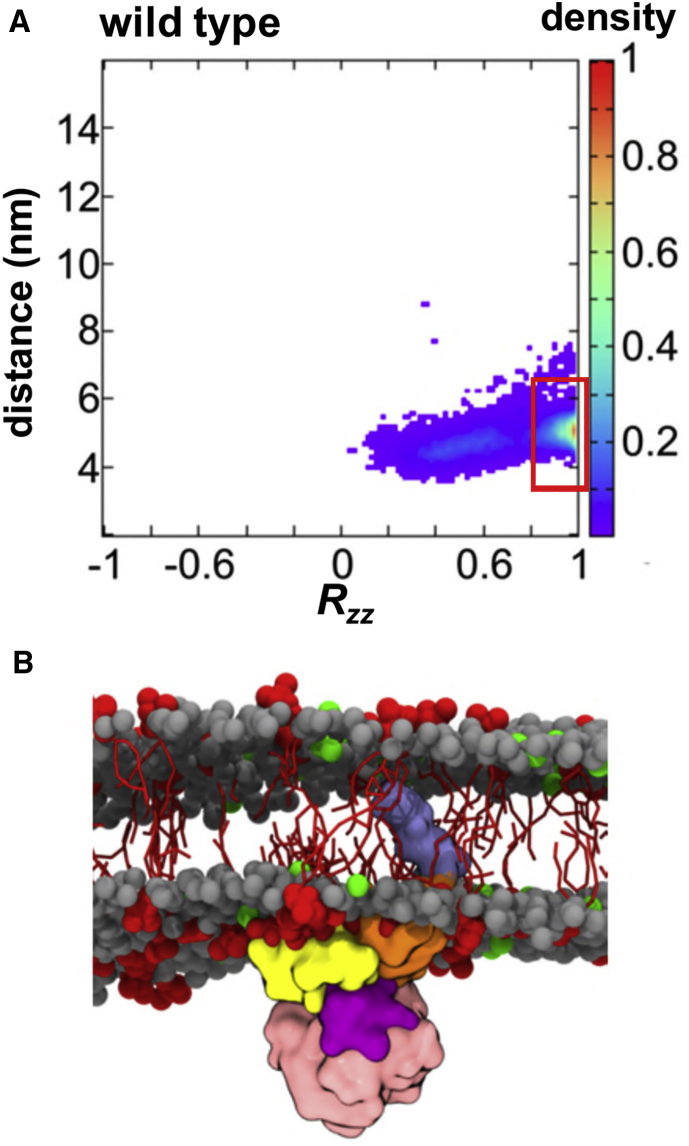 Figure 5