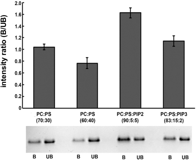 Figure 2