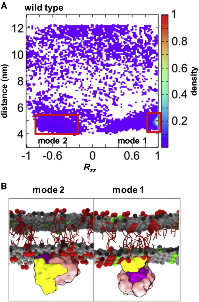 Figure 3