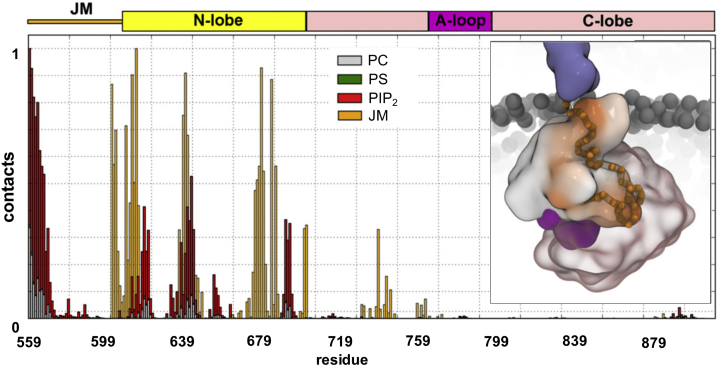 Figure 6