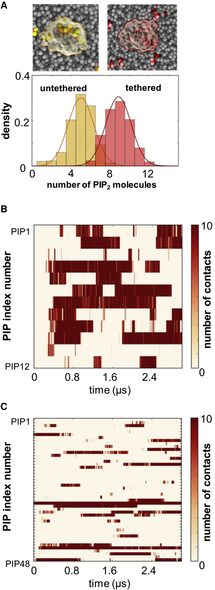 Figure 7