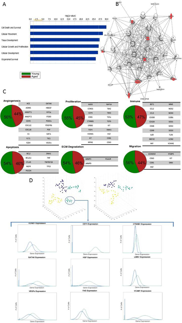 Figure 2: