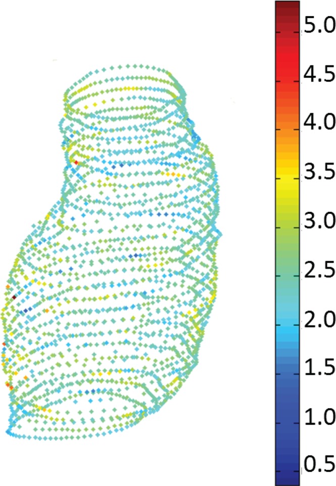 Fig. 2