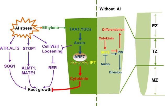 Figure 9