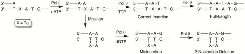 Scheme 3