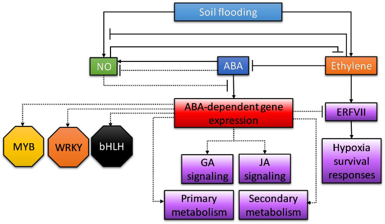 FIGURE 9